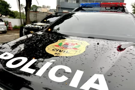 Polícia Civil recupera carga de grama sintética furtada em São Paulo