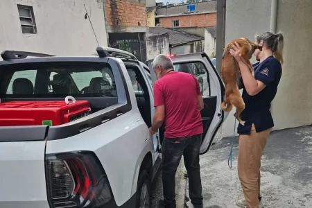 Resgate de animais em situação de maus-tratos no Jardim Anchieta mobiliza autoridades em Mauá