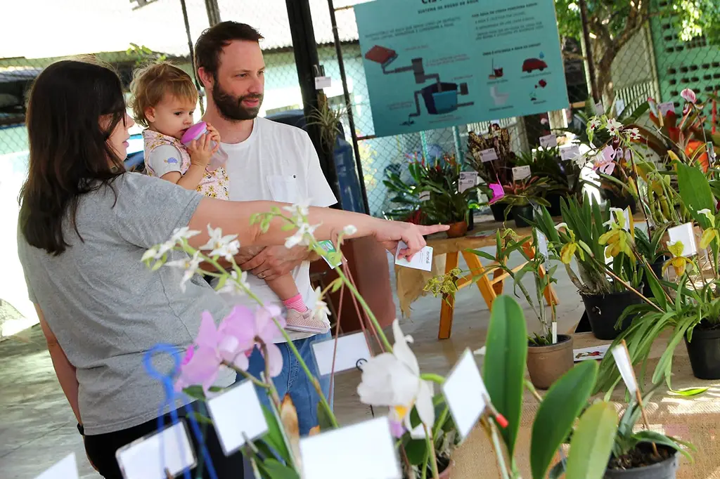 Tô de Férias Programação Gratuita da Emea Promove Educação Ambiental em Santo André