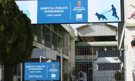 Urgência e Emergência Veterinária em SP Guia completo dos hospitais públicos da capital