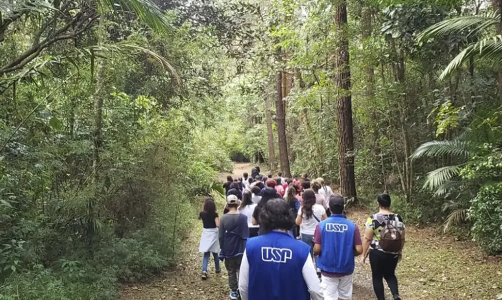 Parque de Ciência e Tecnologia da USP oferece programação gratuita no mês de fevereiro 1 Parque de Ciência e Tecnologia da USP oferece programação gratuita no mês de fevereiro - Vista da Trilha Ecológica. Foto - Divulgação/Parque Cientec