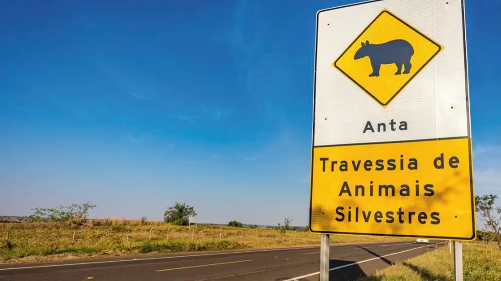 Rodovia em meio à Mata Atlântica com passagem de fauna aérea para travessia segura de animais silvestres.