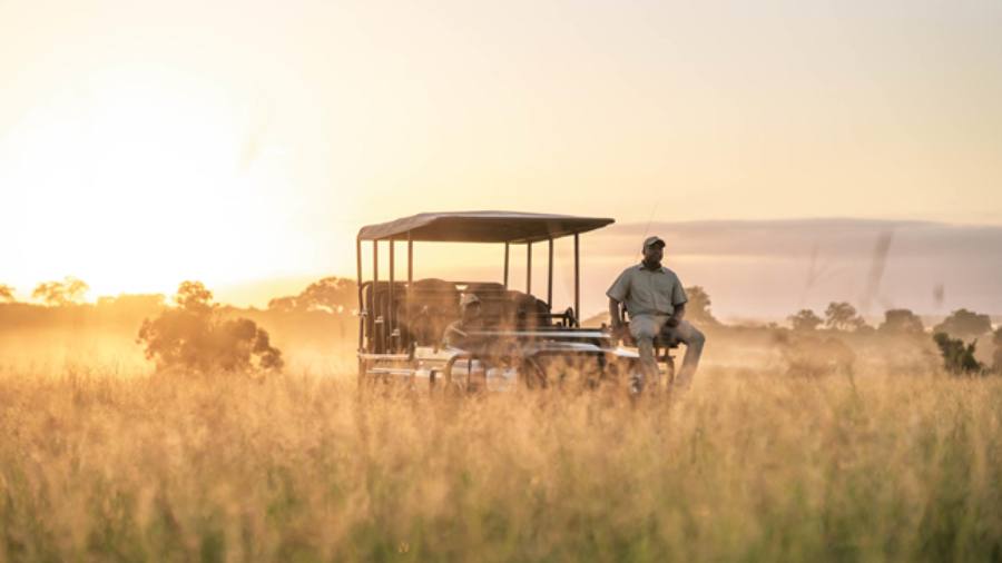 Hotel onde Sabrina Sato passa Lua de Mel, Cheetah Plains, é líder em sustentabilidade no continente africano 1 Hotel onde Sabrina Sato passa Lua de Mel, Cheetah Plains, é líder em sustentabilidade no continente africano