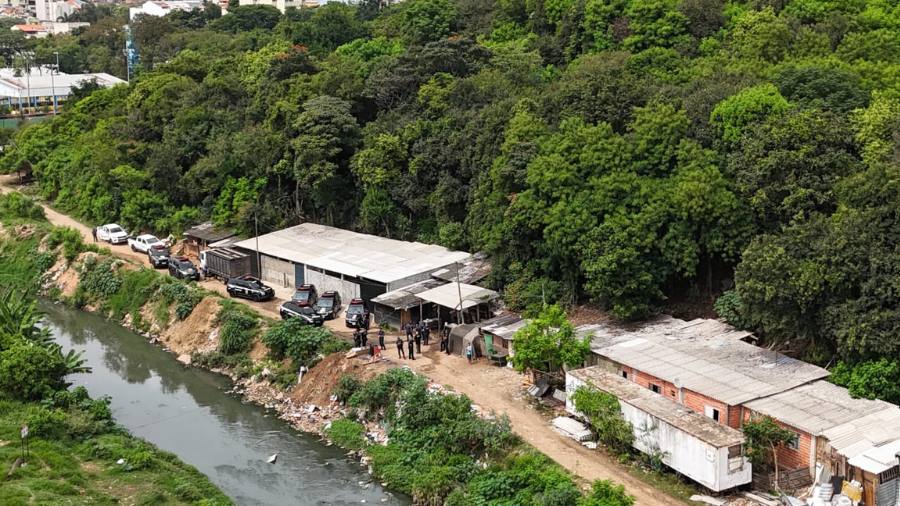Prefeitura flagra abatedouro e criadouro ilegal de animais em área de preservação em Santo André 1 Prefeitura flagra abatedouro e criadouro ilegal de animais em área de preservação em Santo André