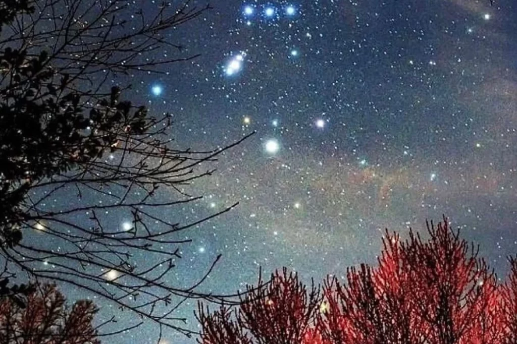 Curso gratuito de Astronomia do Colégio Singular aborda estrelas e constelações