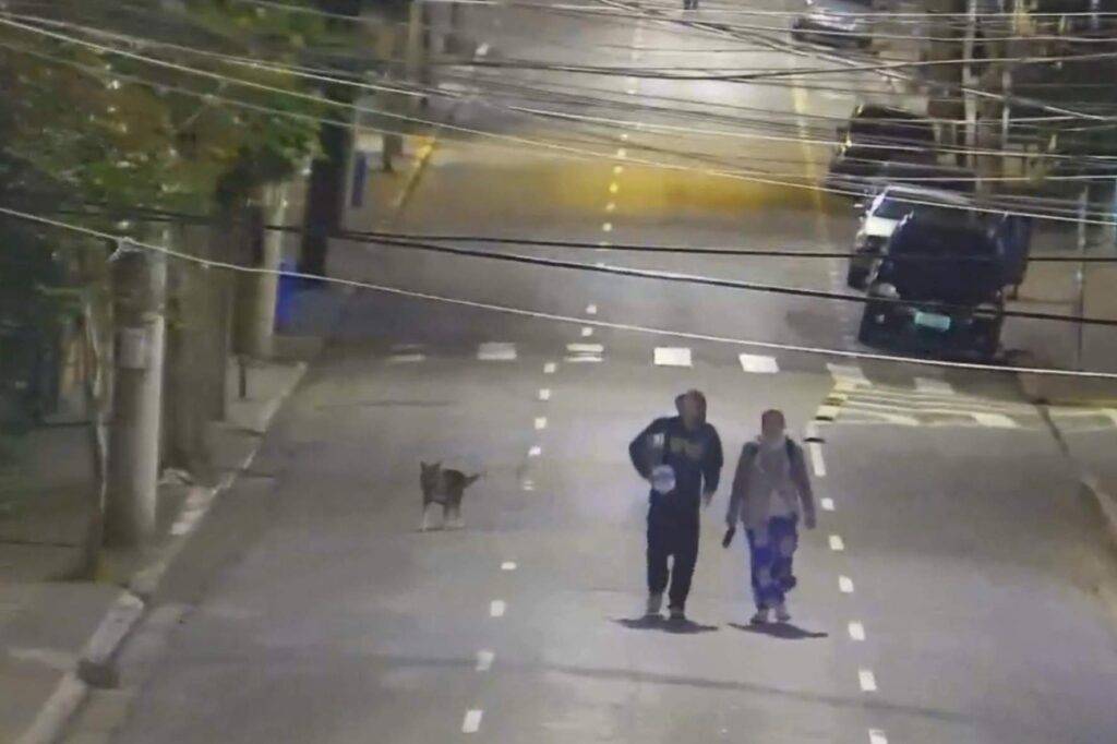 GCM prende dois por furto em estabelecimento comercial no Centro de São Caetano