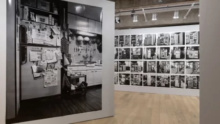 Japan House São Paulo prorroga exposição "A vida que se revela"