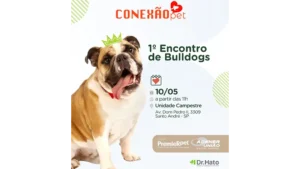 Bulldogs tomam conta do Dr. Hato em evento especial para apaixonados pela raça