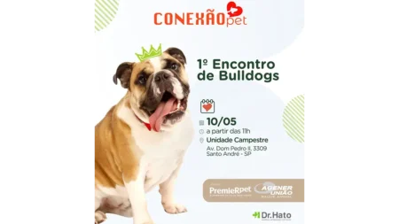 Bulldogs tomam conta do Dr. Hato em evento especial para apaixonados pela raça