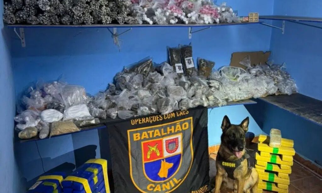 Cão farejador da PM encontra cofre com 156 kg de drogas escondido em casa na zona oeste de SP