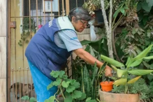 Casos de dengue caem 80% no 1º quadrimestre em São Bernardo na comparação com 2024 