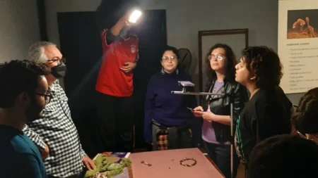 Escola Livre de Cinema e Vídeo abre inscrições para oficinas gratuitas de maio