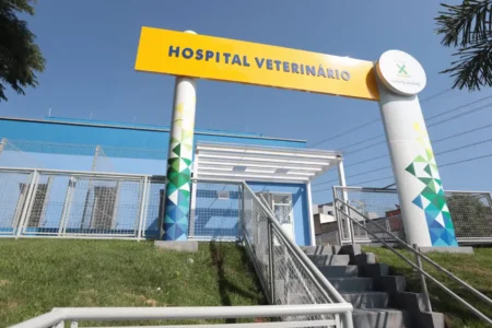 Hospital Veterinário de Santo André realiza terceira edição da Feira de Adoção de Animais neste sábado