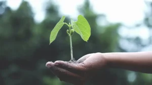 Governo de SP reúne lideranças em economia circular na primeira edição do Circular Day