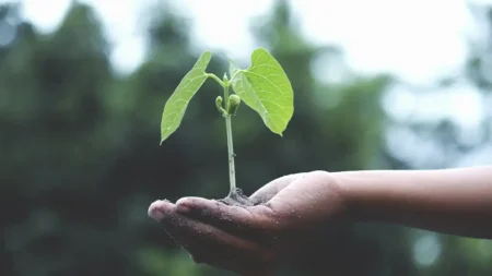 Governo de SP reúne lideranças em economia circular na primeira edição do Circular Day