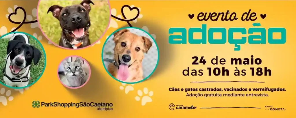 ParkShopping São Caetano realiza feira de adoção de cães e gatos neste sábado (24)