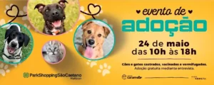 ParkShopping São Caetano realiza feira de adoção de cães e gatos neste sábado (24)