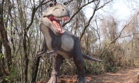Roteiro jurássico: conheça os museus de dinossauros espalhados por São Paulo