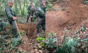 Cemitério clandestino com 15 ossadas é descoberto no Parque dos Búfalos, na zona sul de SP