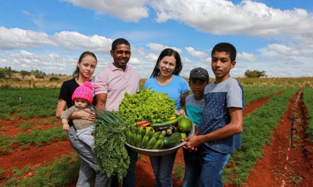 Governo federal anuncia investimento de R$ 89 bilhões na agricultura familiar