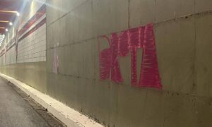 Pichação na Av. Lions resulta em detenção de dois indivíduos e multa de R$ 9.304 da GCM