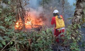 SP reforça ações preventivas contra incêndios durante estiagem até outubro