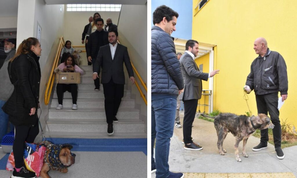 Santo André digitaliza cadastro para castração gratuita de cães e gatos 1 Santo André digitaliza cadastro para castração gratuita de cães e gatos