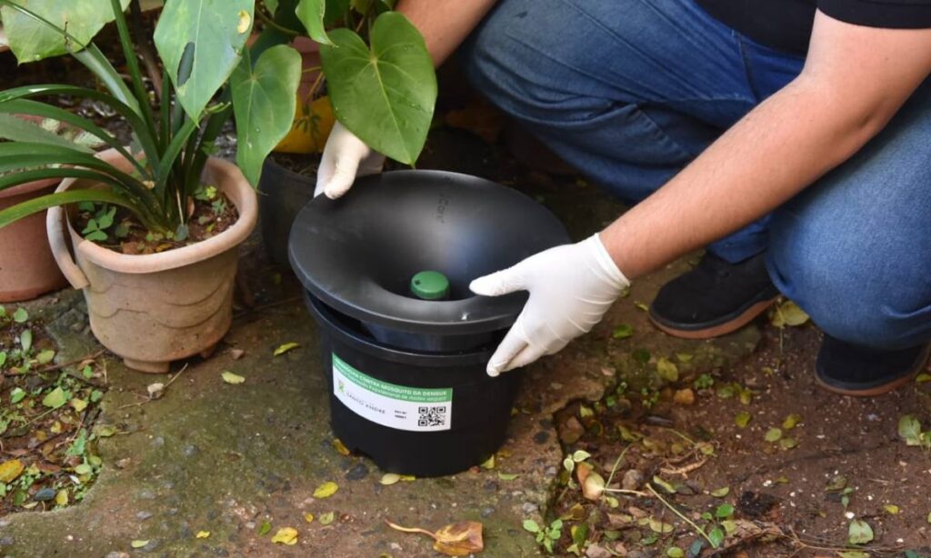 Santo André implanta armadilhas inteligentes contra Aedes aegypti em bairros com alto índice de dengue