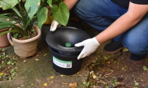 Santo André implanta armadilhas inteligentes contra Aedes aegypti em bairros com alto índice de dengue