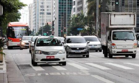 Frio intenso e baixa umidade marcam esta terça-feira (8) em São Paulo