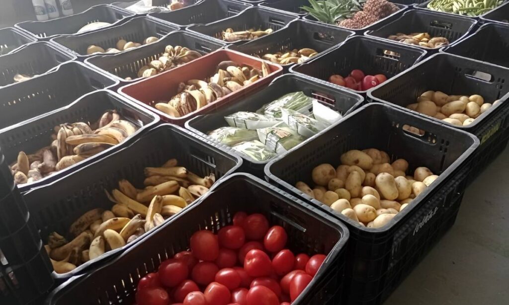 Fundo Social de Solidariedade de Ribeirão Pires distribui mais de 60 toneladas de alimentos no primeiro semestre de 2025