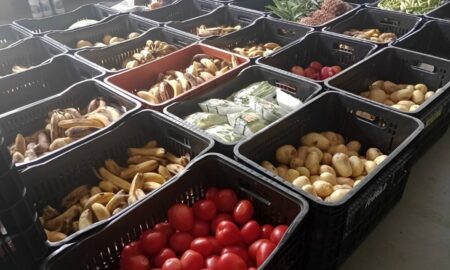 Fundo Social de Solidariedade de Ribeirão Pires distribui mais de 60 toneladas de alimentos no primeiro semestre de 2025