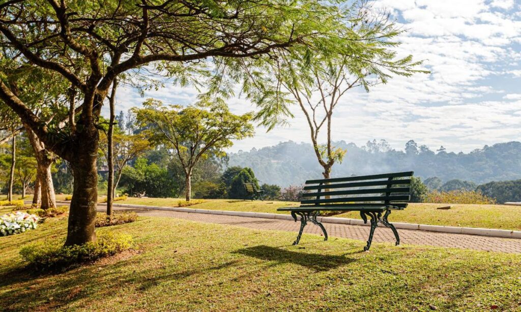 Grupo Memorial realiza evento em homenagem à família nas unidades de Embu das Artes e Diadema no dia 26 de julho