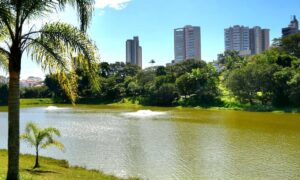 Santo André abre edital com mais de R$ 500 mil para financiar projetos ambientais