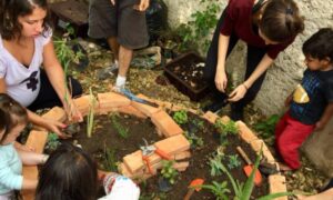 Sesc São Caetano promove oficinas e vivência sobre sustentabilidade e agroecologia em julho