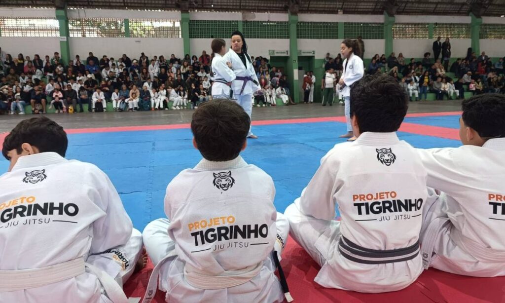 Deputado Luiz Fernando relança Projeto Tigrinho de música e jiu-jitsu em São Bernardo 1 Deputado Luiz Fernando relança Projeto Tigrinho de música e jiu-jitsu em São Bernardo