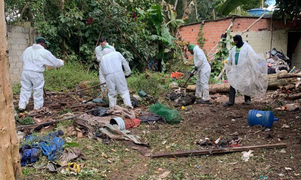 Divisão de Veterinária e Controle de Zoonoses de São Bernardo faz alerta sobre acidentes com escorpiões 1 Divisão de Veterinária e Controle de Zoonoses de São Bernardo faz alerta sobre acidentes com escorpiões