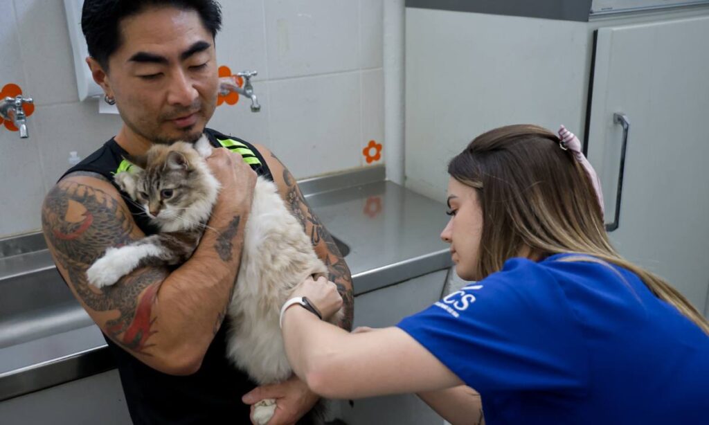 São Caetano vacina quase mil cães e gatos em ação contra a raiva