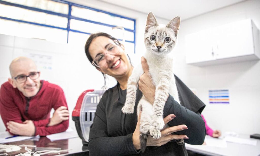 Castração Gratuita em São Caetano do Sul 124 Gatos Foram Atendidos em Nova Ação da Prefeitura e USCS