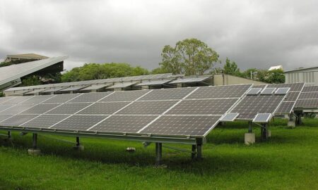 Sicoob firma parceria com o Banco Interamericano de Desenvolvimento para ampliar portfólio de crédito sustentável