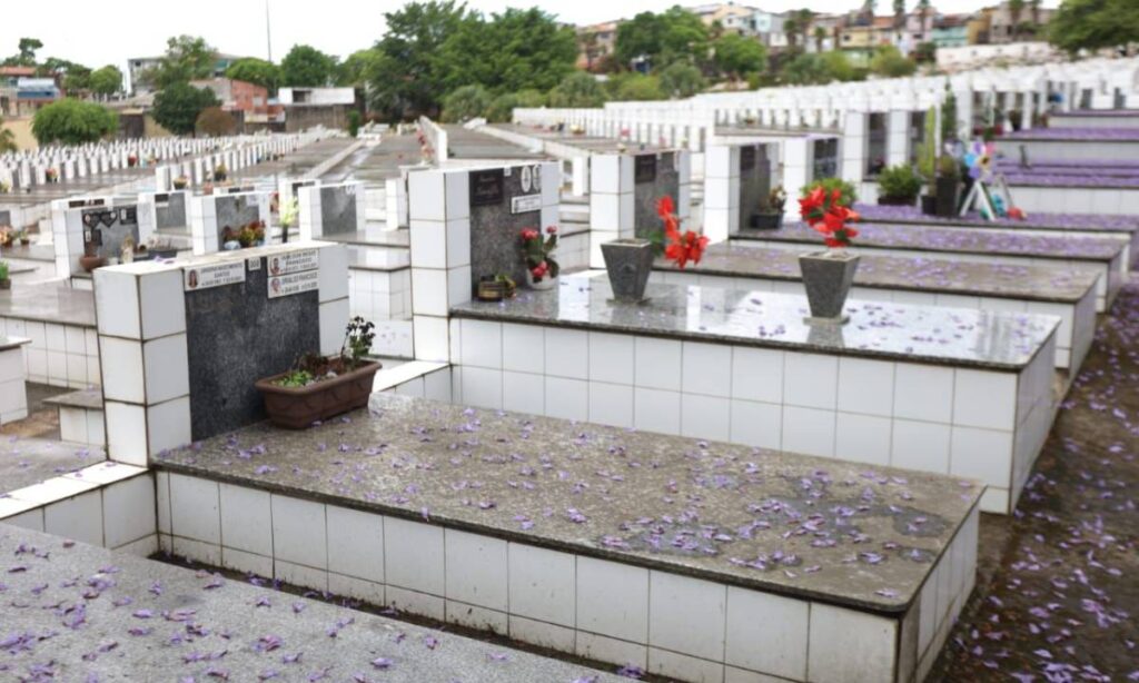 Dia de Finados em Santo André: programação completa, horários e serviços Dia de Finados em Santo André: programação completa, horários e serviços