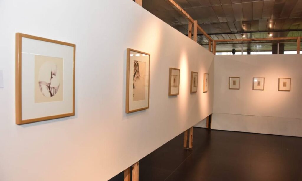 Exposição “João Suzuki Horizontes” homenageia 90 anos do artista nipo-brasileiro em Santo André