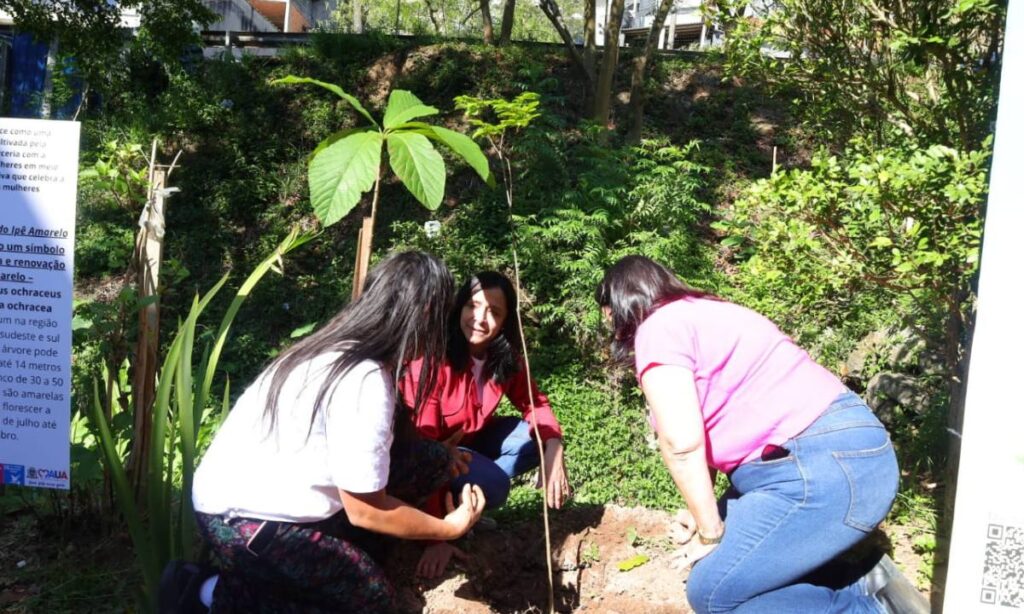 Ipês são plantados em referência ao Outubro Rosa e ao combate à violência contra a mulher Ipês são plantados em referência ao Outubro Rosa e ao combate à violência contra a mulher