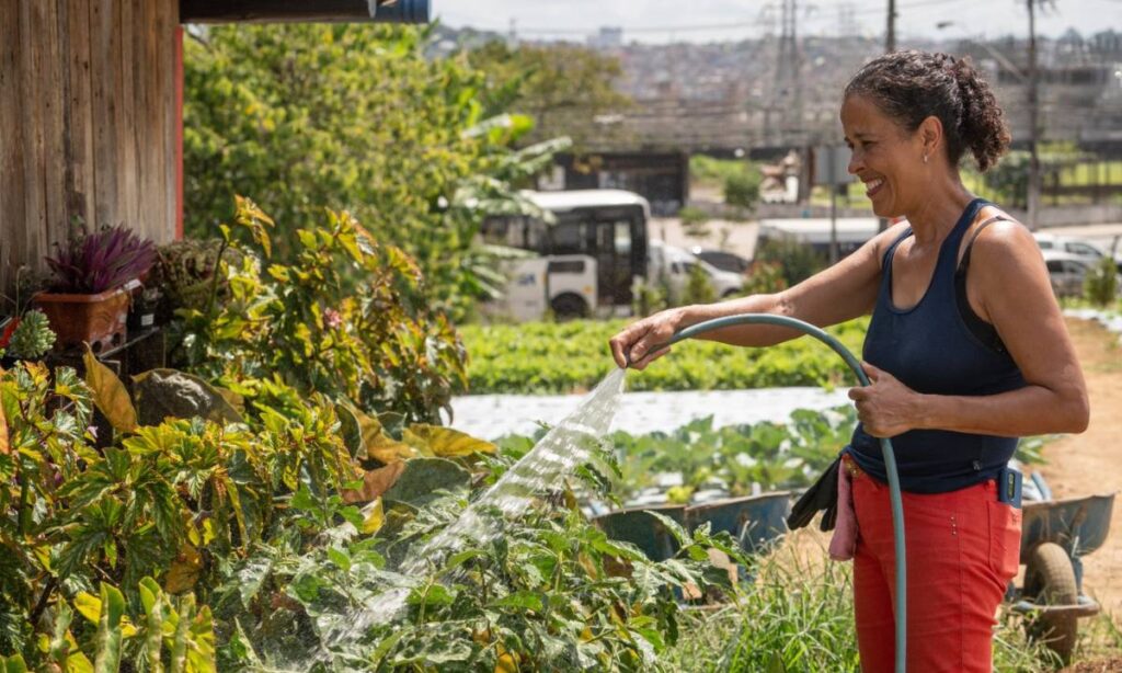 Santo André inicia consulta pública para construir política de agricultura urbana
