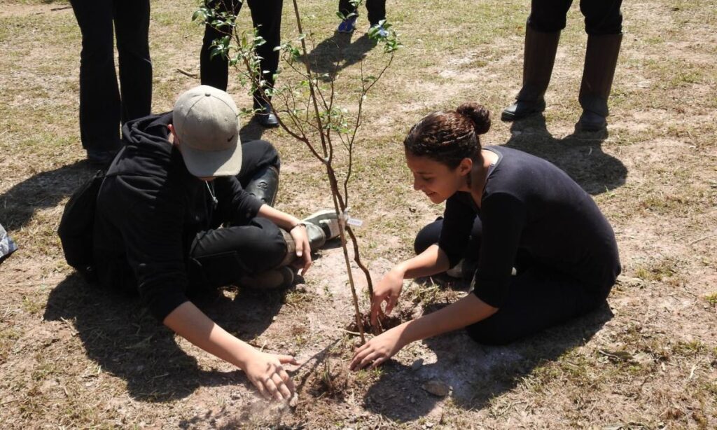 Santo André lança projeto Águas da Mata com plantio no Parque do Pedroso
