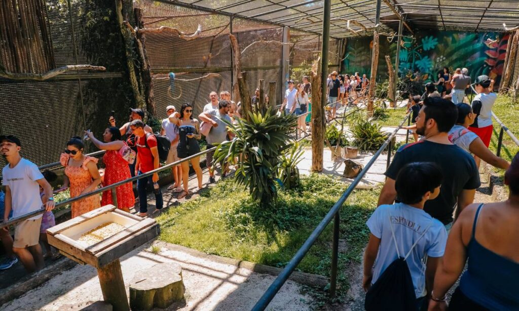 Zoológico de São Bernardo celebra 40 anos com referência em reabilitação de animais