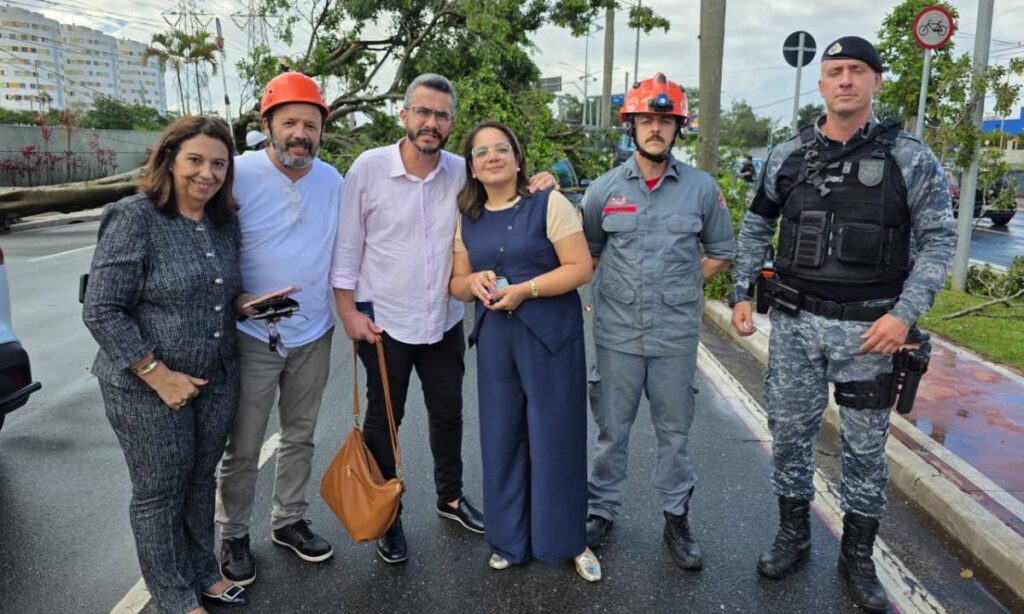 Queda de Árvore na Avenida Guido Aliberti Mobiliza Força-Tarefa e Termina com Resgate Ileso em São Caetano