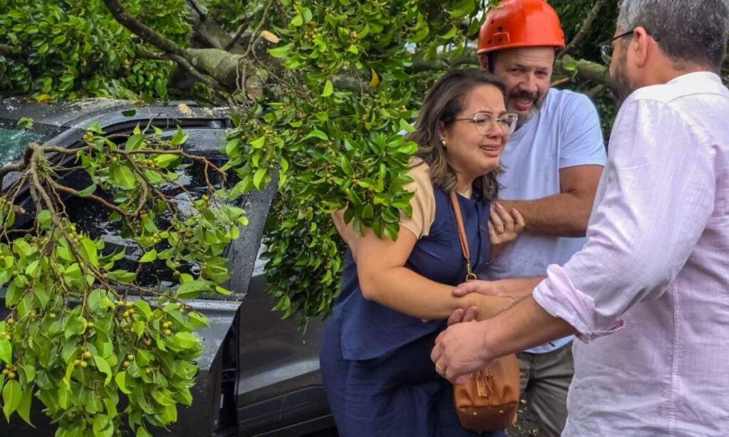 Queda de Árvore na Avenida Guido Aliberti Mobiliza Força-Tarefa e Termina com Resgate Ileso em São Caetano