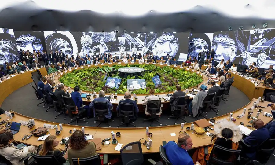 Brasil reduz desmatamento na Amazônia pela metade em três anos de governo5