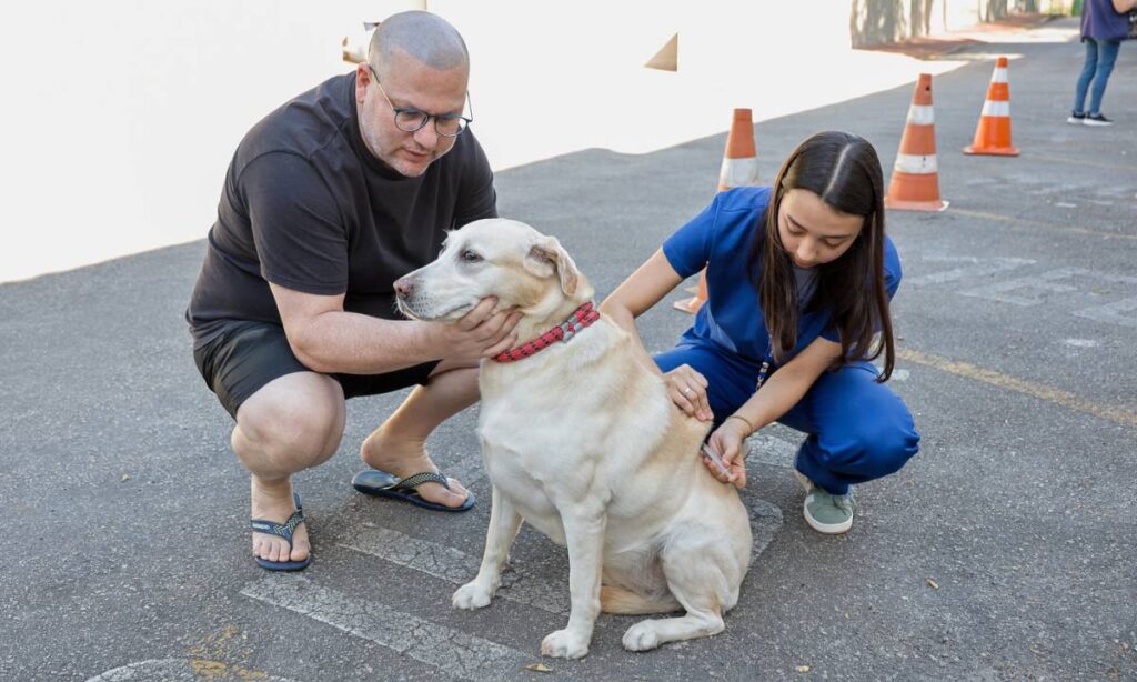 São Caetano promove última campanha de vacinação antirrábica do ano São Caetano promove última campanha de vacinação antirrábica do ano